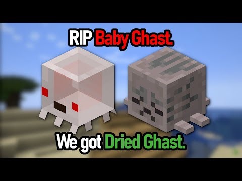 Minecraft Live 2025 Memes (Happy Ghast Update)