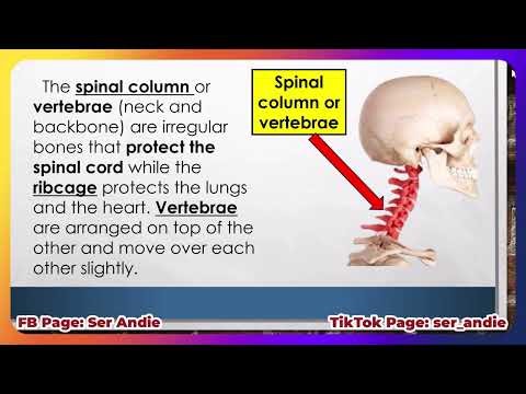 SCIENCE 6 QUARTER 2 WEEK 1 (DAY 1)
