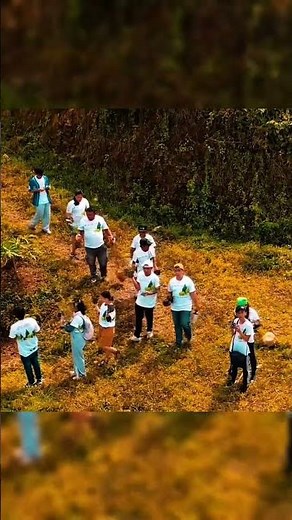 Tree planting #dji #drone #hiking #busaycebu
