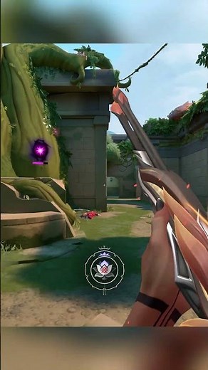 Napawajcie się ponownie rozkwitem, Skrytokwit wkrótce w waszym sklepie.