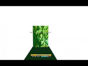 Unwavering Soul: How to get to new secret boss Gogu