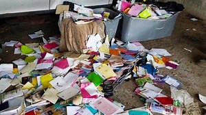 Postal worker admits to stealing mail