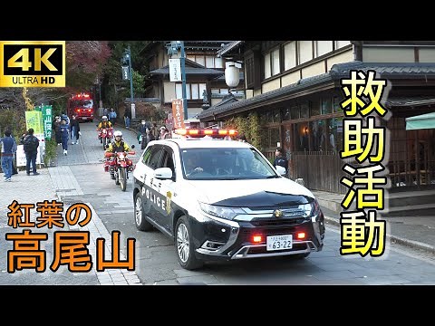秋の紅葉 高尾山でけが人発生！消防車と救急車が次々と到着 Rescue mission at Mount Takao.