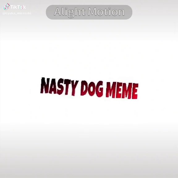Creative Dog Animation Collaboration on TikTok