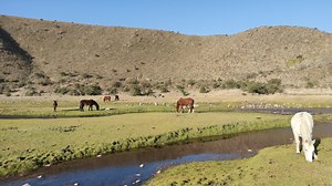 499K views · 8.4K reactions | Dique La Angostura, Tucumán  | Descubre Argentina | Facebook