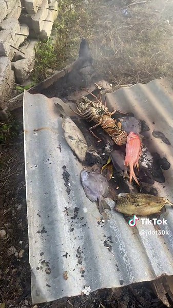 Jdot30k (@jdot30k)’s videos with Lithe Fall back - Lithe