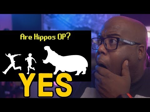 Are Hippos OP? TIER ZOO REACTION