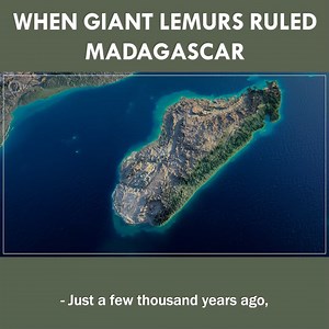 41K views · 1.8K reactions | How Did Giant Lemurs Get To Madagascar? | Eons • PBS | Facebook