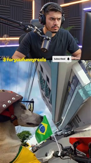 This Dog Rides a Motorcycle Like a Complete Boss 😂🏍️🇧🇷
