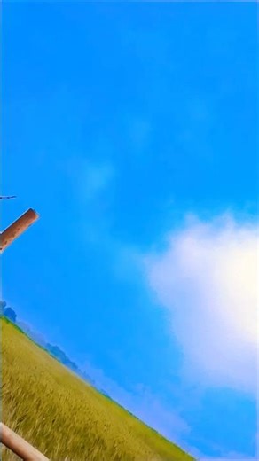 tuchijj#viralvideo#🥰🥀🤓