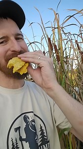 How to Make Delicious Cattail Pancakes | Oddly Survival