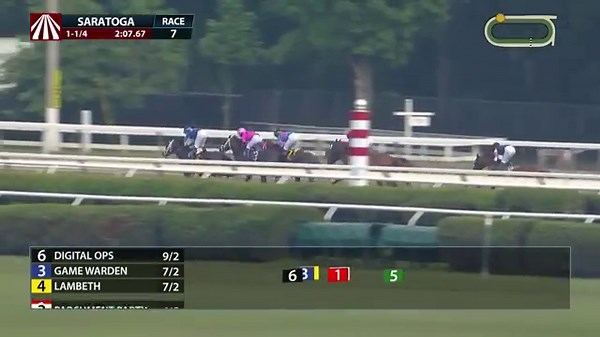 Parchment Party - 2025 - Birdstone