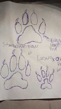 my royalty family in paw🐾 sizes drawing Al to small to biggest I drew in wildcraft true size of paws