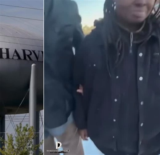 Chicago Suburbs | Meanwhile In Chicago South Suburbs “Harvey” 😭😭😭 Buck & Nasty @kimdonineshow @thegsalt | Instagram