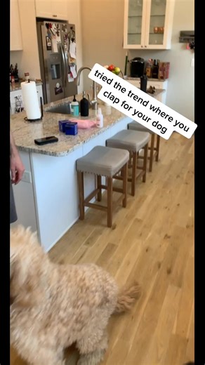 we did this knowing he’s a humper, wasn’t surprising