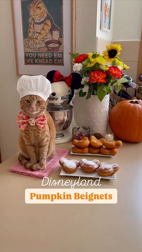 These Disneyland Pumpkin Mickey beignets will make you feel like you’re in the happiest place on earth! 😻 Soft and fluffy on the inside, with a sweet spiced and slightly crisp outside, they taste just like the special fall treat that you can order from the Mint Julep Bar in New Orleans Square 🎃 Pumpkin beignet recipe 3/4 cup warm water 45c/ 110f 1 tsp active dry yeast 1/4 cup white sugar 1/2 tsp salt 1 tsp pumpkin pie spice* 1 egg whisked 1/4 cup pumpkin puree 2 tbsp butter, softened 1/2 cup t