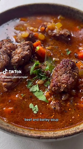 Beef and barley soup. You’ll be hard pressed to find a cozier dish then this. full recipe can be found through our link in bio. #themodernproper #beef #beefstew #barley #healthy #healthyrecipes #easyrecipes #soup #soupseason #onepotmeal #satisfying #satisfyingvideos #recipe #recipevideo #viraltiktok