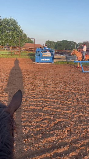 @darrenledford12 & Mason putting in the work! Just started turning steers! #teamroping #puttinginwork