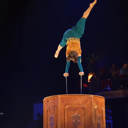 Alte Schätze, neue Geschichten – und Sie mitten im Geschehen! �🎟 Jetzt Plätze sichern für Bric Brac von Circus Monti. | Circus Monti