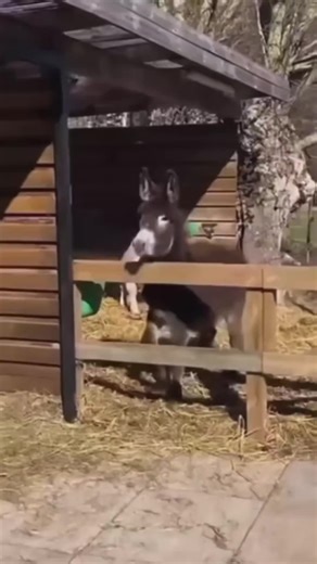 This mask changes faces with an app 😳🔥 Next level cosplay. #ledmask #techtok #cosplay #viralproducts #fyp