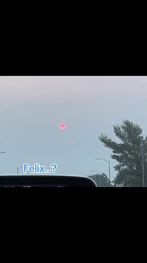 Exploring Miraculous Elements in Felix's Journey