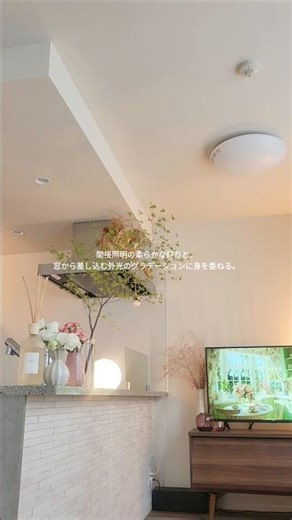 ​【洗練の日常】おうちが1番好き🕊️ドウダンツツジと光が織りなす極上の透明感🌿 #ドウダンツツジ #北欧インテリア #花のある暮らし