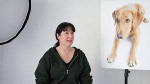 Shed Photography Studios: Ideas & 9 Great Examples