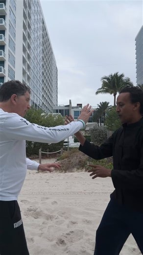 Private Class - Chen Pan Ling - Hsing I -Two Person Drills - Five Elements - Destructive Cycle | Addis Kung Fu Academy