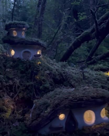 Short video of creating a fairy house village - built with recycled & natural materials. Full fairy house DIY video tutorial on my YouTube channel: https://youtu.be/zFsq0OjYRzE It's a short-term setup on private land; no fairy houses left behind to protect the forest from pollution and wildfires. #fairyland #fairyvillage #fairyhouse #fairyhouses #fairyhome #feenhaus #diyfairyhouse #naturalfairyhouse #creatingfairyhouses #greenroof #minicobhouse #pixiehouse #gnomhaus #gnomehome #wichtelhaus #hobb