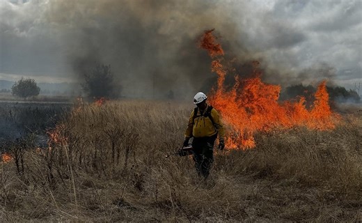 From ridgetops to the lab, UO researchers pursue wildfire resilience