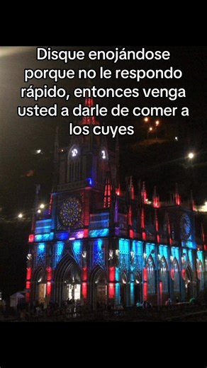 Videos de Carmelo 🇨🇴 (@thecarmelo.2) con “sonido original - ꜱᴀᴍᴜᴇʟ ᴢᴀᴘᴀᴛᴀ”