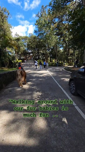 23K views · 490 reactions | #morning #greetings #christmas #astrophotography #christmasgift #christmasinspired #holidaygifts #love #petfriendly #redditstory | Ric Cognoden | Facebook