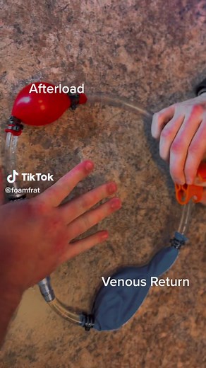 CPR Explained: How Chest Compressions Impact Blood Flow