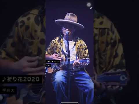 平井大 オンラインライブ 2020