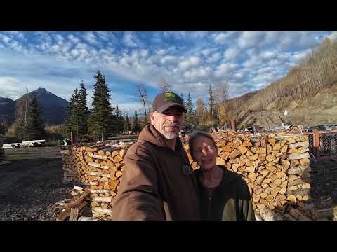 New excavator in the Woodyard ! #51