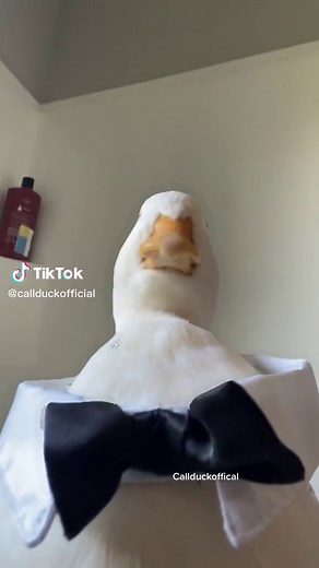 Funny Sigma Duck Meme Compilation