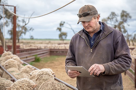 National Vendor Declaration (NVD) - Integrity Systems