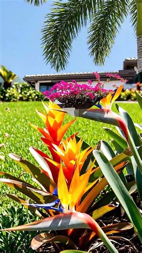 Florida Front Yard Landscaping Tips & Tricks
