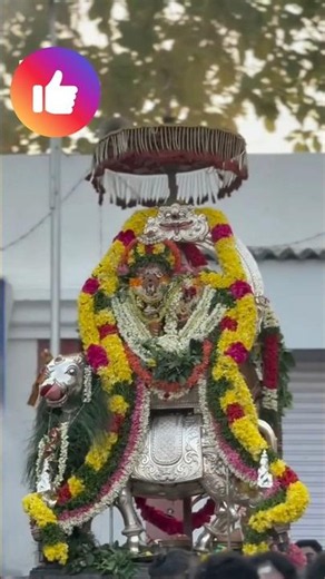 பிரதோஷம்🔱 திருமயிலை அருள்மிகு கற்பகாம்பாள் உடனுறை அருள்மிகு கபாலீஸ்வரர் சுவாமி 🔱🙏
