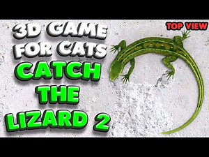 3D game for cats | CATCH THE LIZARD 2 (top view) | 4K, 60 fps, stereo sound
