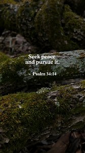 Peace doesn’t just happen—it’s chosen daily. Let the Spirit lead you toward what builds it and honors Christ. | In Touch Ministries