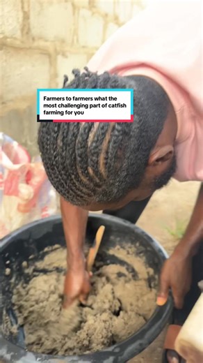 The Humbling Challenge of Catfish Farming Feeding