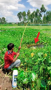 5.9M views · 50K reactions | Incredible Fishing Technique by Little Boy | Fishing Today | Facebook