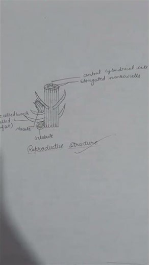 #Part:3 Botany second sem..# practical file B.Sc life science
