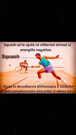 Squash Sport Arena on Reels