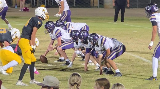 2.8K views · 17 reactions | "Notice the ballerina in the backfield to the right"藍 | Sandra Lee | Facebook