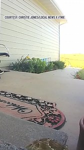 A FedEx driver killed a rattlesnake after delivering a package in Nebraska. http://nbc4dc.com/tULqJYc | NBC Washington