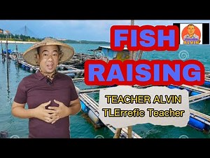 TLE 6 Agriculture Fish Raising ‪@teacheralvintv‬ #Fish Raising #Animal Rasing #FishFarming #Milkfish