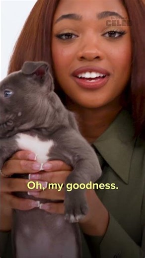 Percy Jackson and the Olympians S2 Cast Puppies | Trailer