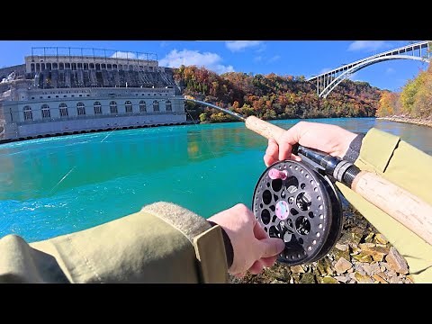 Trout Fishing the NIAGARA RIVER on a Perfect Fall Day